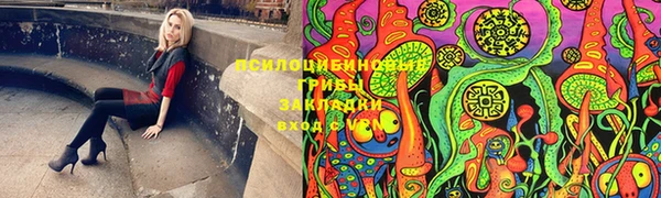 Альфа ПВП Арсеньев