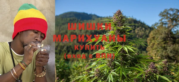 дурь Алзамай