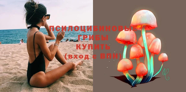 гидропоника Аркадак