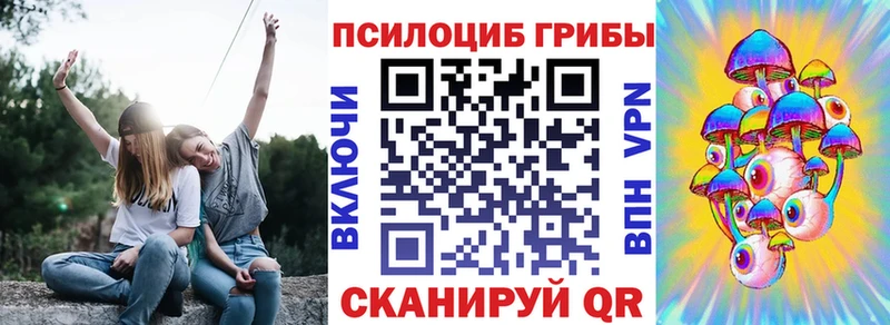 Купить где  Олёкминск  Галлюциногенные грибы Psilocybine cubensis 